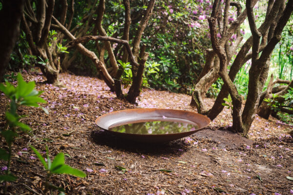 Corten Steel Water Bowl - Image 4