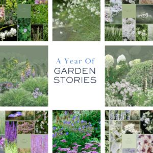 A Year Of Garden Stories