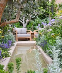 Mediterranean Garden