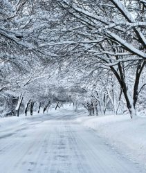 Snow day
