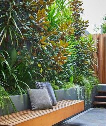 Tropical Planting