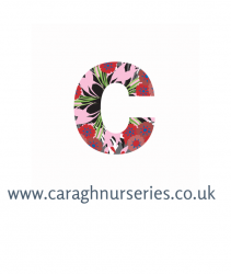 caraghnurseries.co.uk