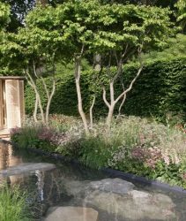laurent perrier garden 2014 RHS Chelsea